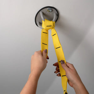 TRX X-Mount
